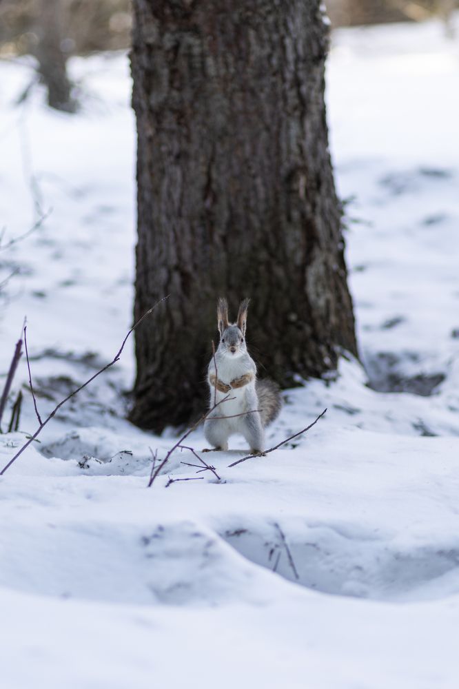 Photograph by Бальзирова Наталья