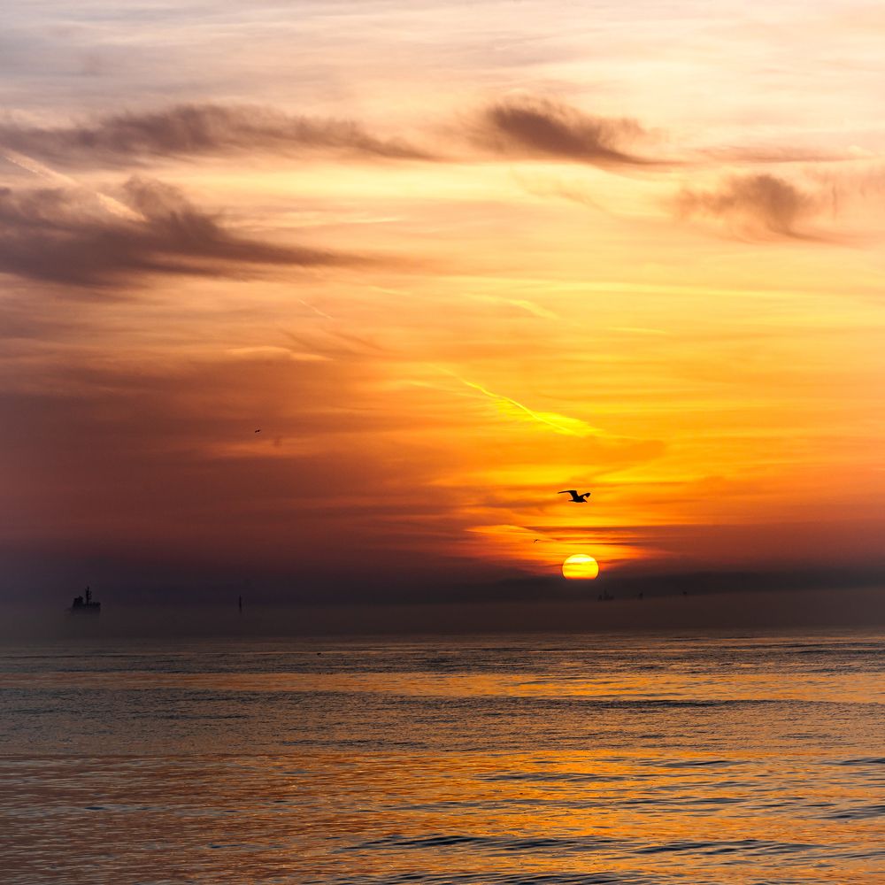 Photograph by Ognyan Levashki