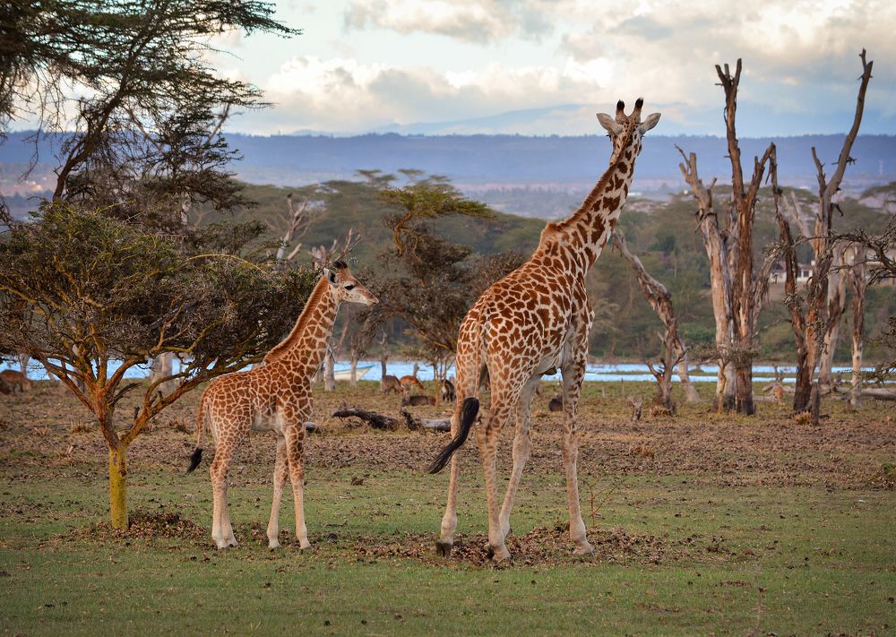 Photograph by Inna Ivanova