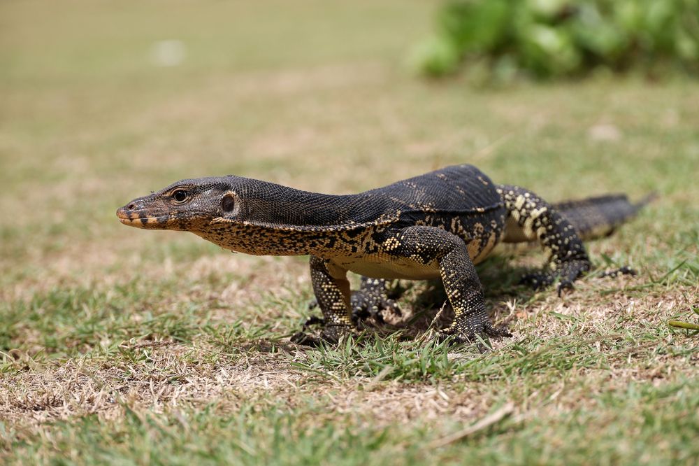 Photograph by Олег Елков