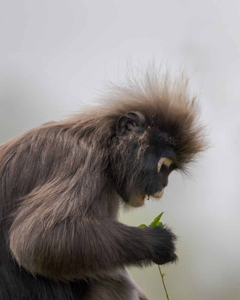 Photograph by Sergio