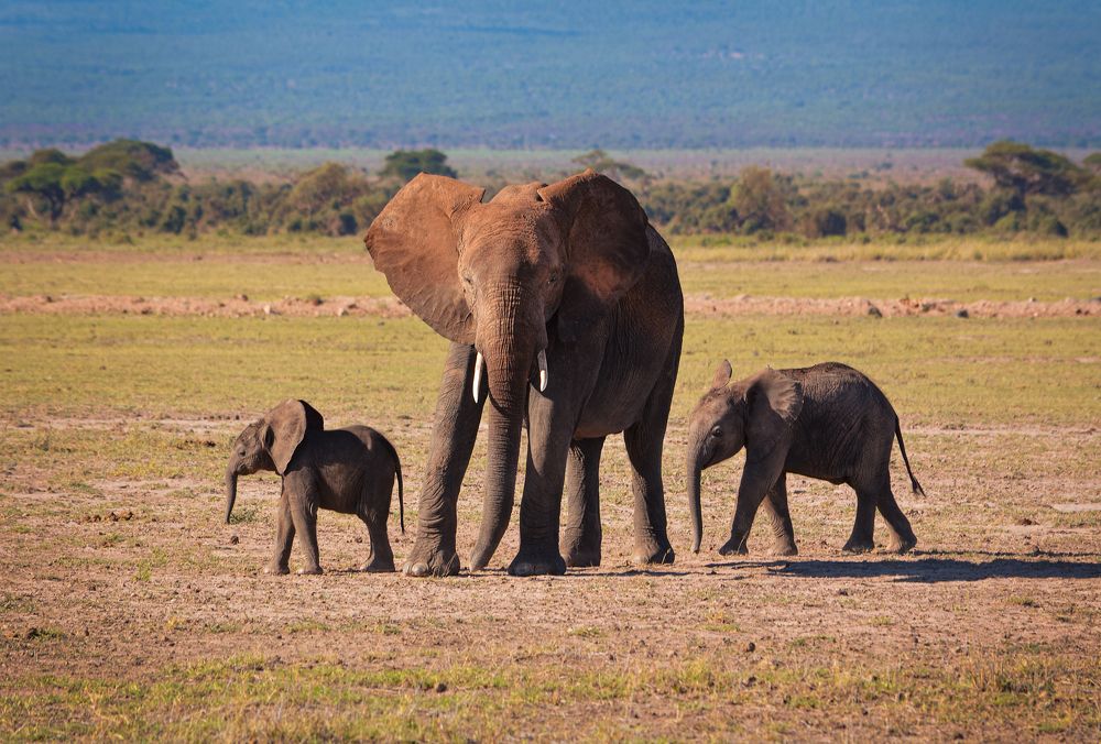 Photograph by Inna Ivanova