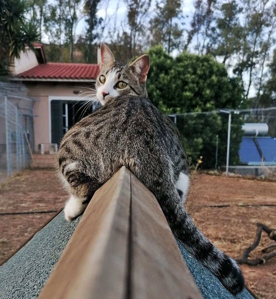 Photograph by Chami Maria