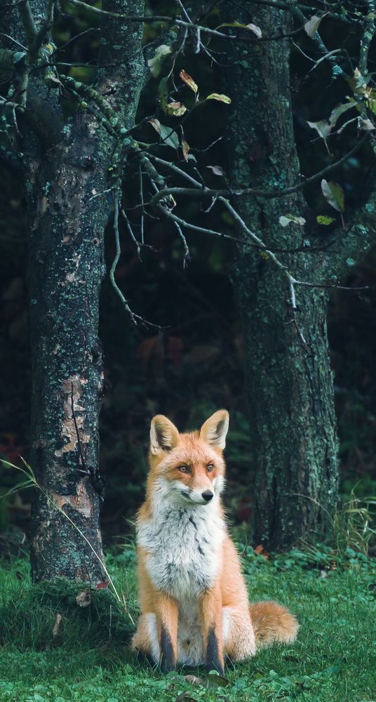 Photograph by Patryk George