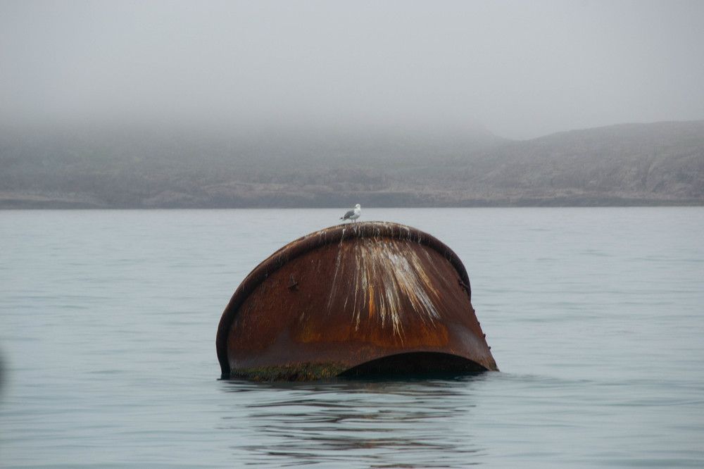 Photograph by Анастасия