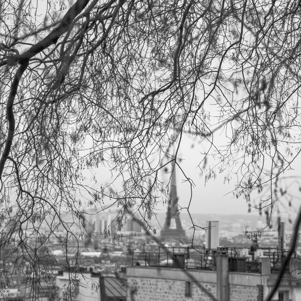 Photograph by Natalja Poplavska