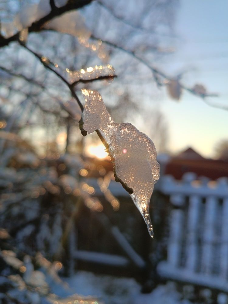 Photograph by Дневник Фотогорафа