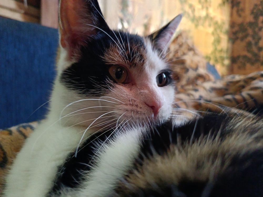 Асилия смотрит куда-то в даль