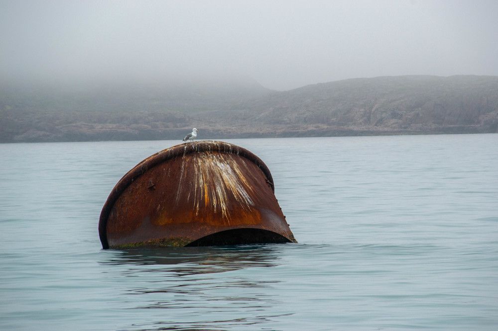 Photograph by Анастасия