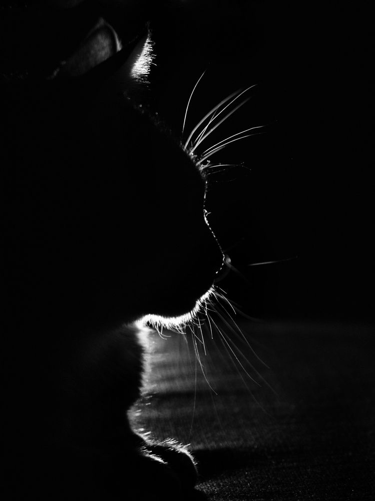 Photograph by Татьяна Штунь