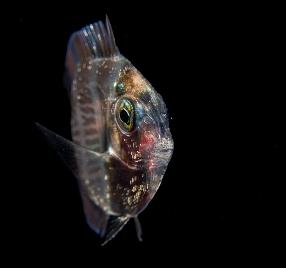 Photograph by Magali Marquez