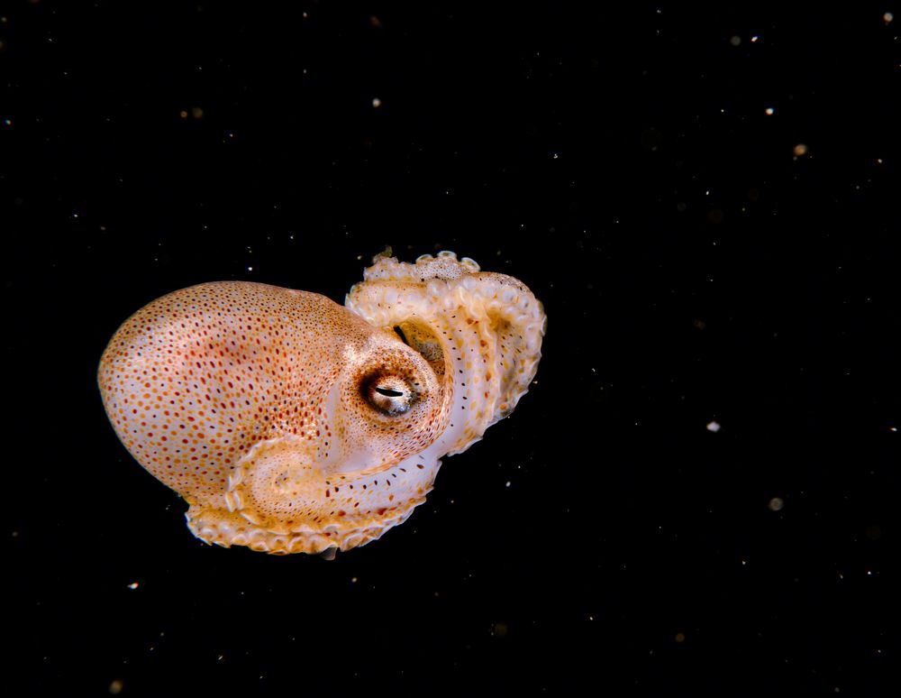 Photograph by Magali Marquez