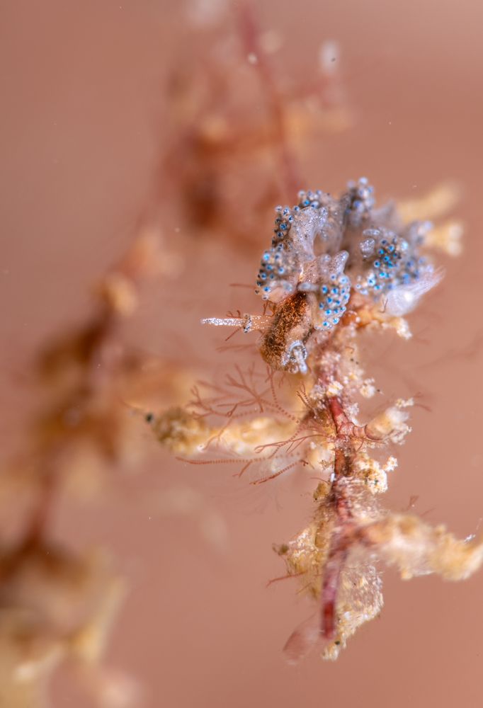 Photograph by Magali Marquez