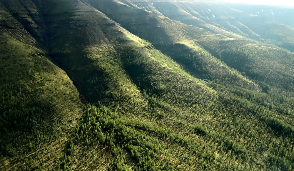 Photograph by Лада Денисова