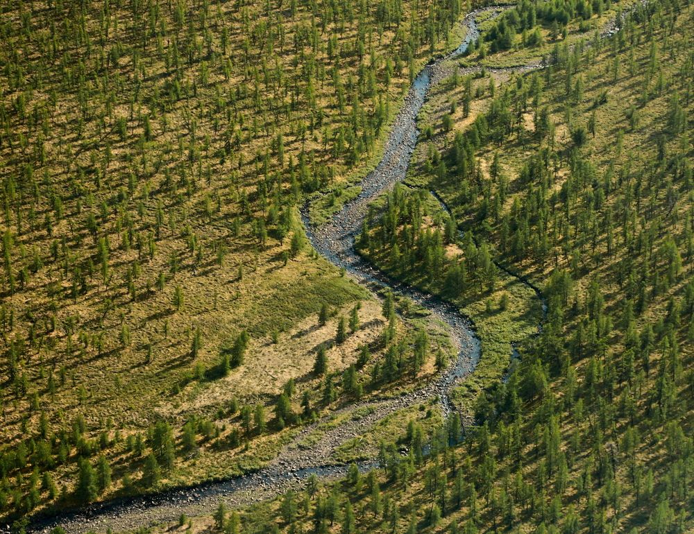 Photograph by Лада Денисова