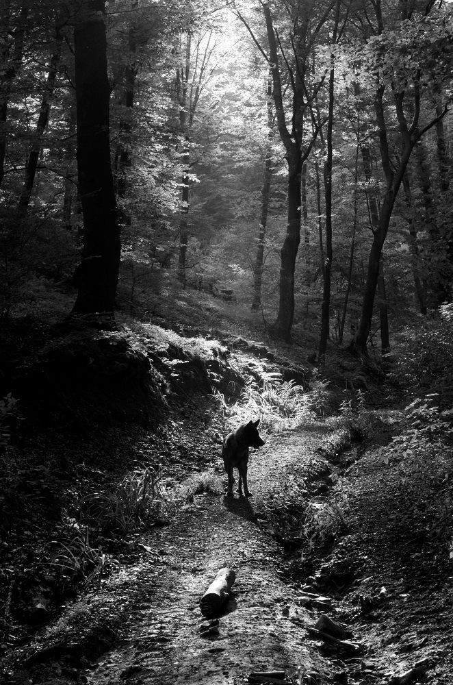 Photograph by Damir Gržin