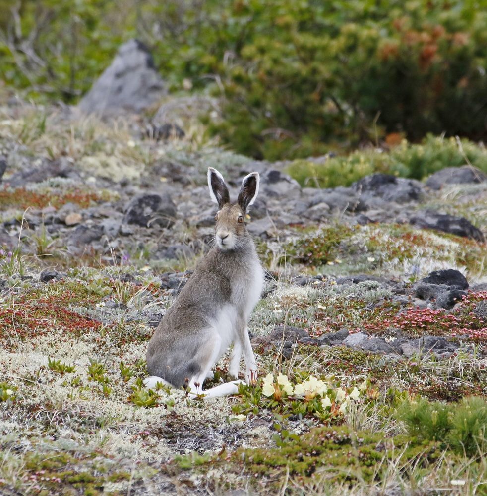 Photograph by Наталья Турчик