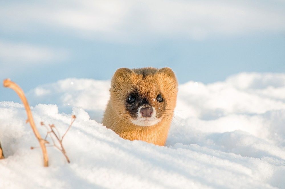 Photograph by константин