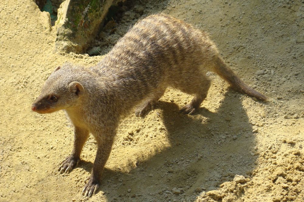 Photograph by Boris Butianov