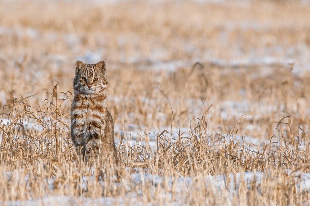 Photograph by константин