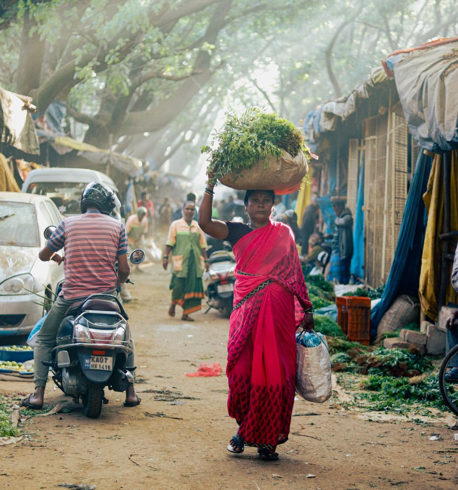 Photograph by Vignesh P Hegde