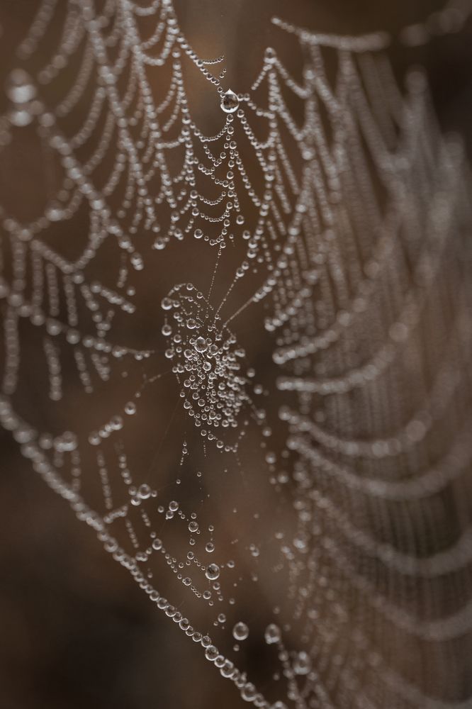 Photograph by Екатерина Овсянникова