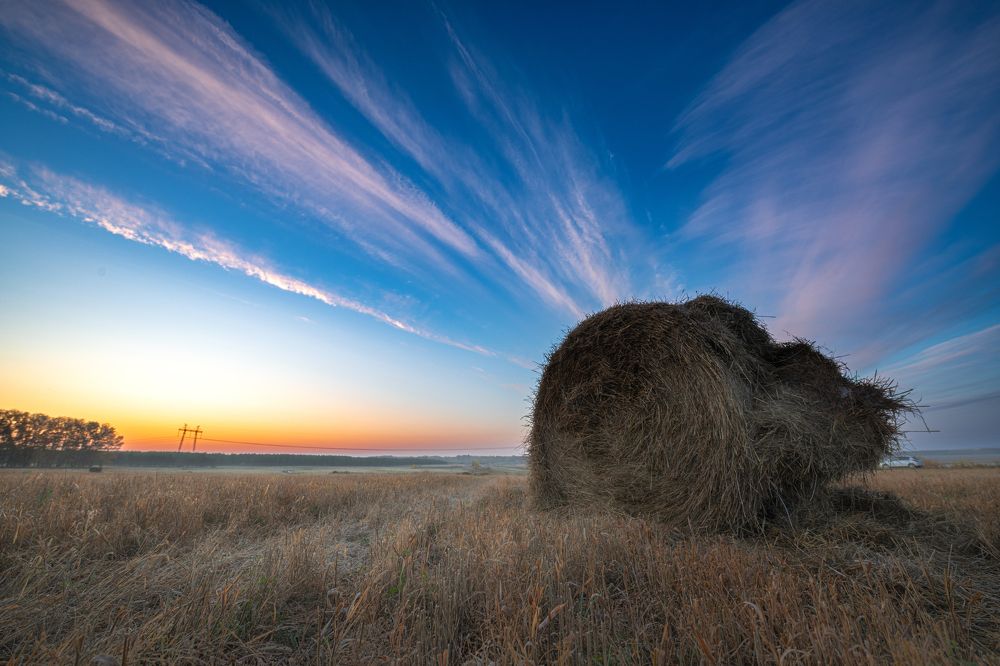 Photograph by Василий Снигирь
