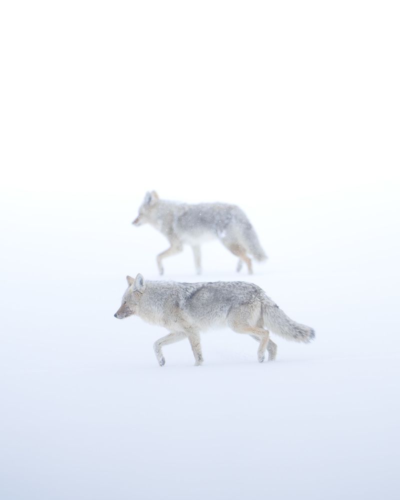 Photograph by Karthik Subramaniam