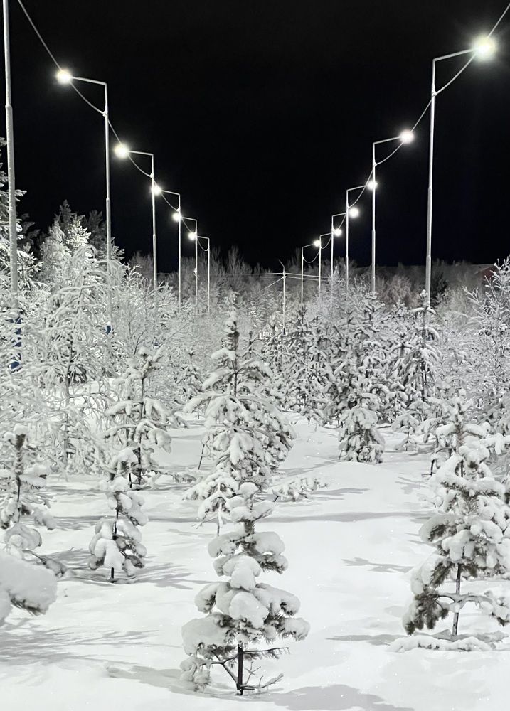 Photograph by Татьяна Блохина