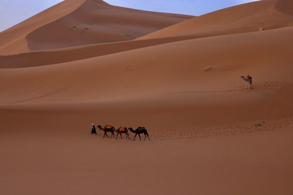 Photograph by Ольга Одаренко