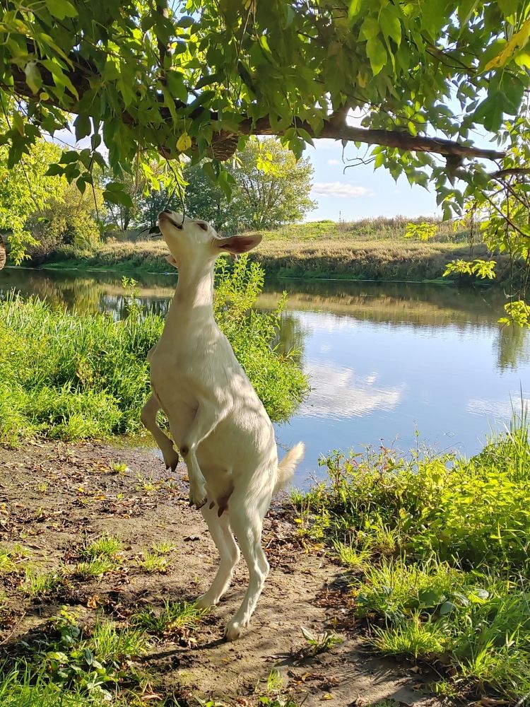 Фотография автора Татьяна Егорова