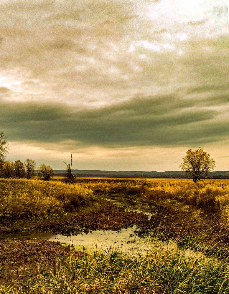 Photograph by Ольга Пономарева