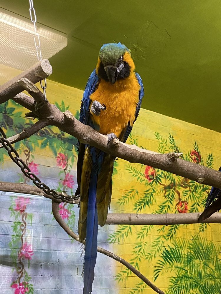 Photograph by Наталья