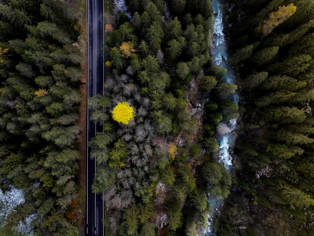 Photograph by Andrea Cozza