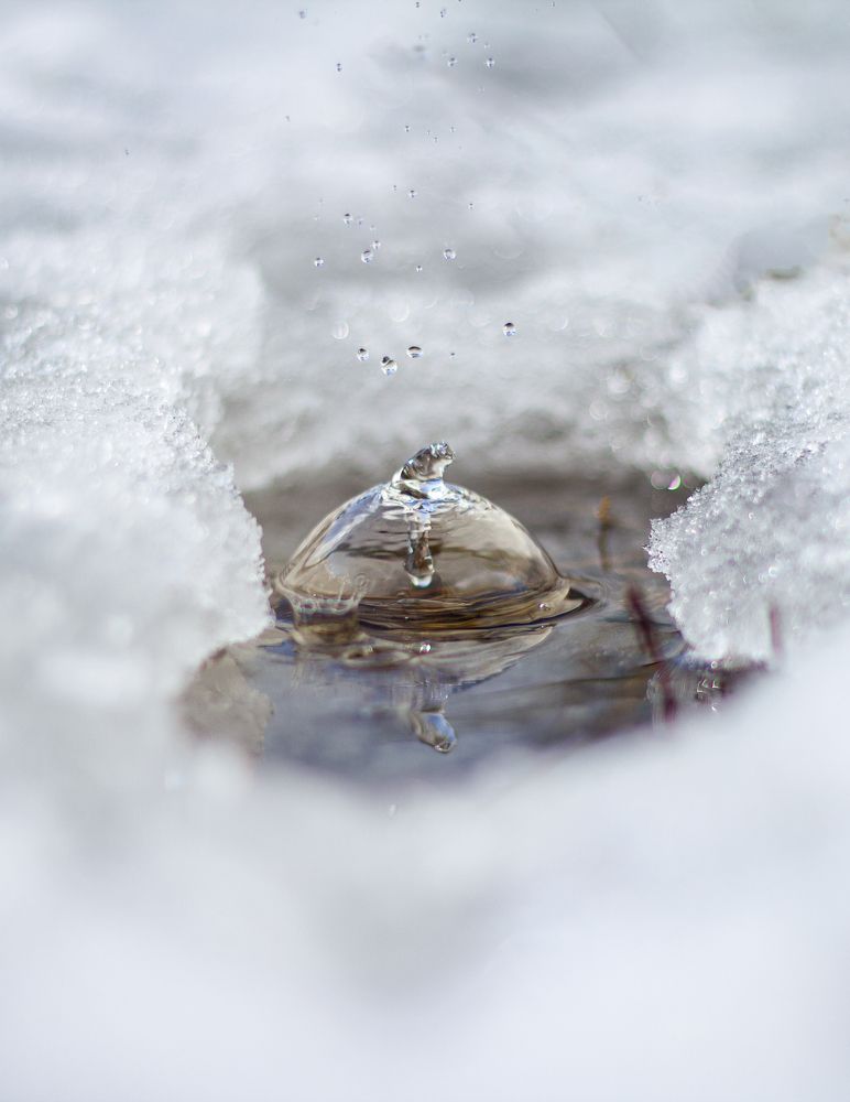 Photograph by Михаил Климов