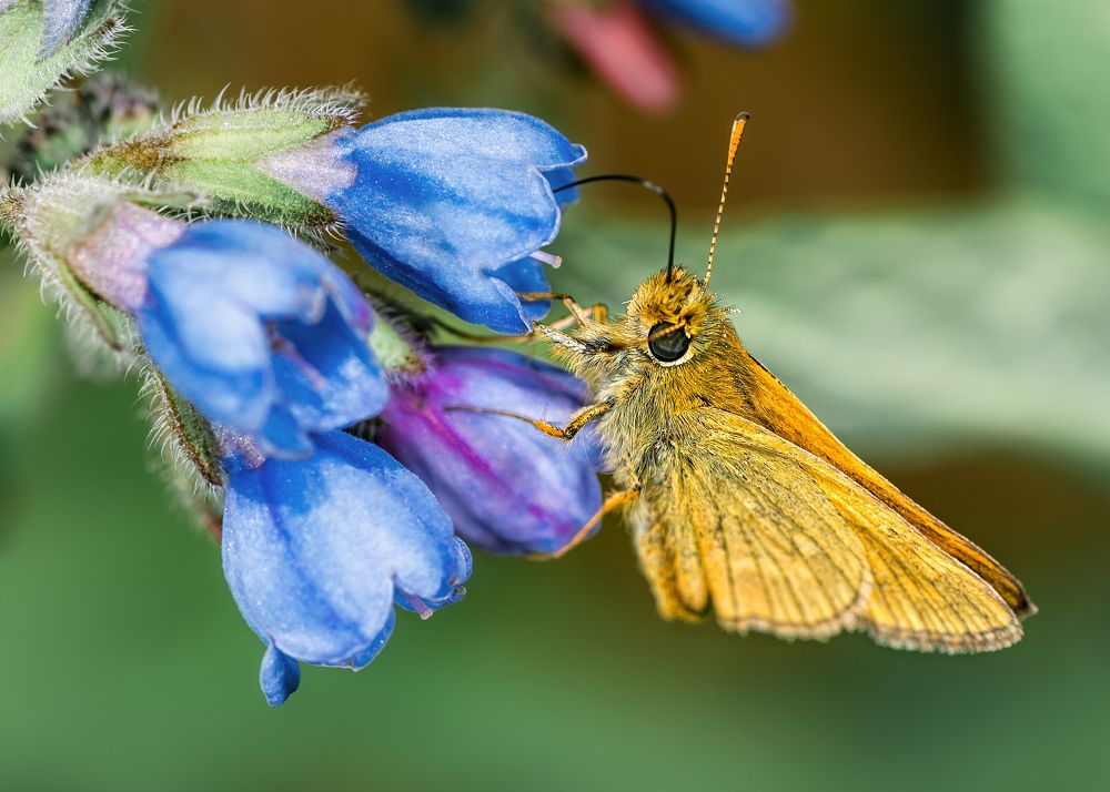 Photograph by Степанов Виктор