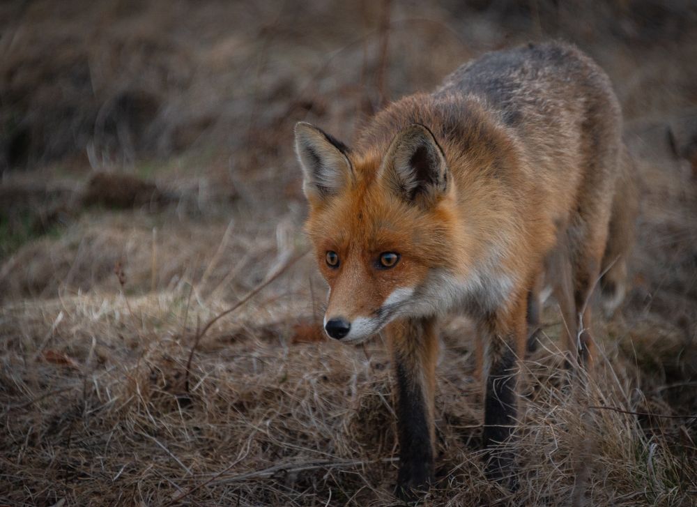 Photograph by Alexandru Pavel