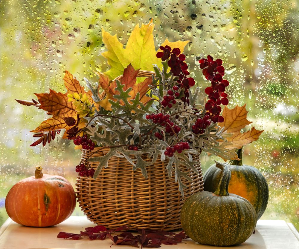 Photograph by NADEZHDA PELYMSKAIA