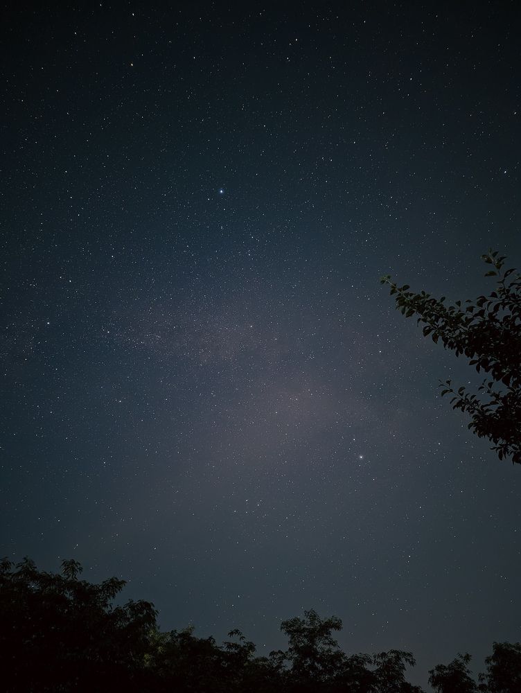 Photograph by Viktor