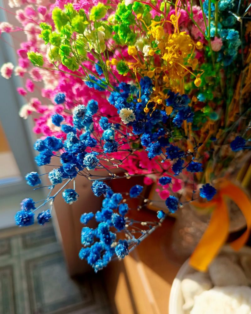 Photograph by Елизавета Загудаева