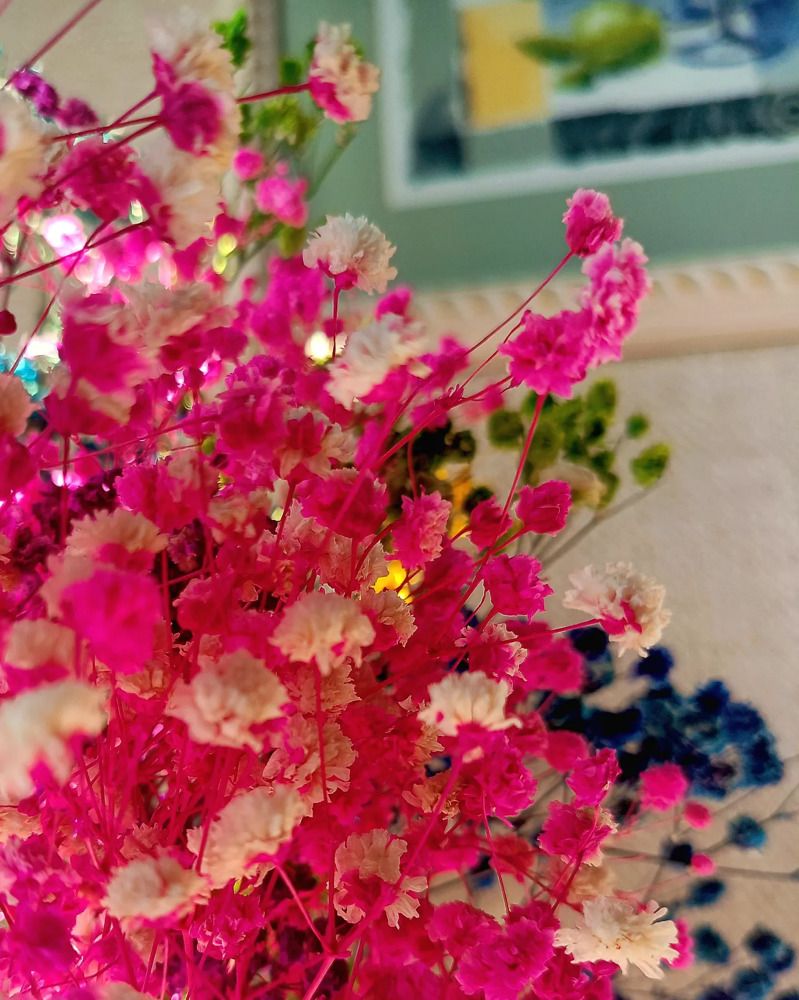 Photograph by Елизавета Загудаева