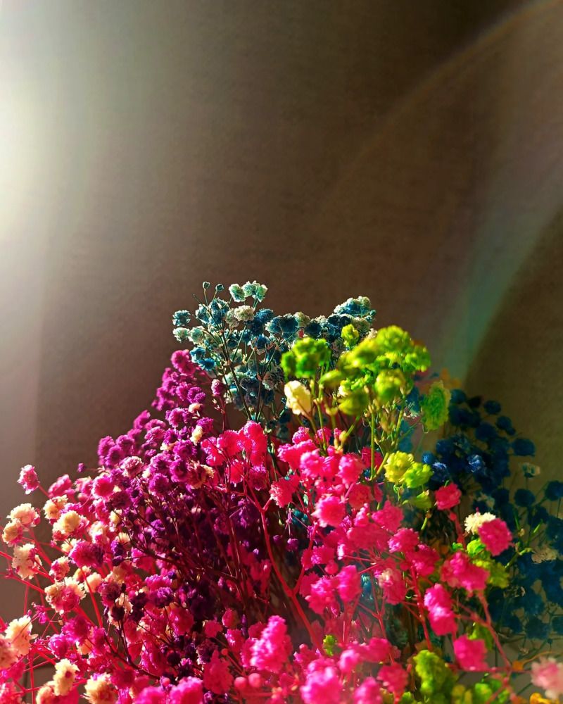 Photograph by Елизавета Загудаева