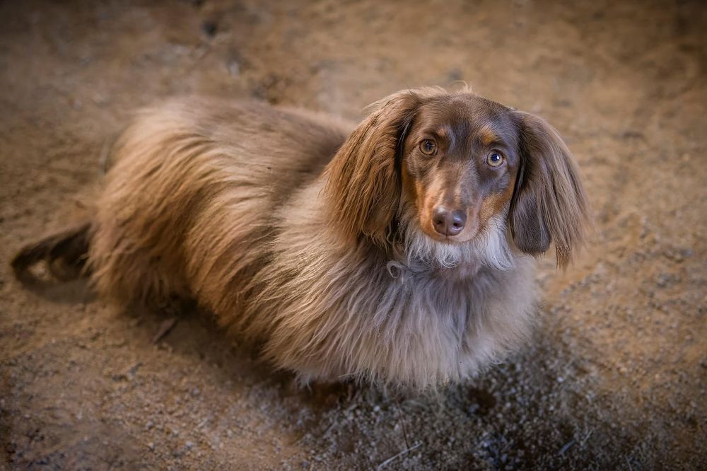 Photograph by Janet Williams