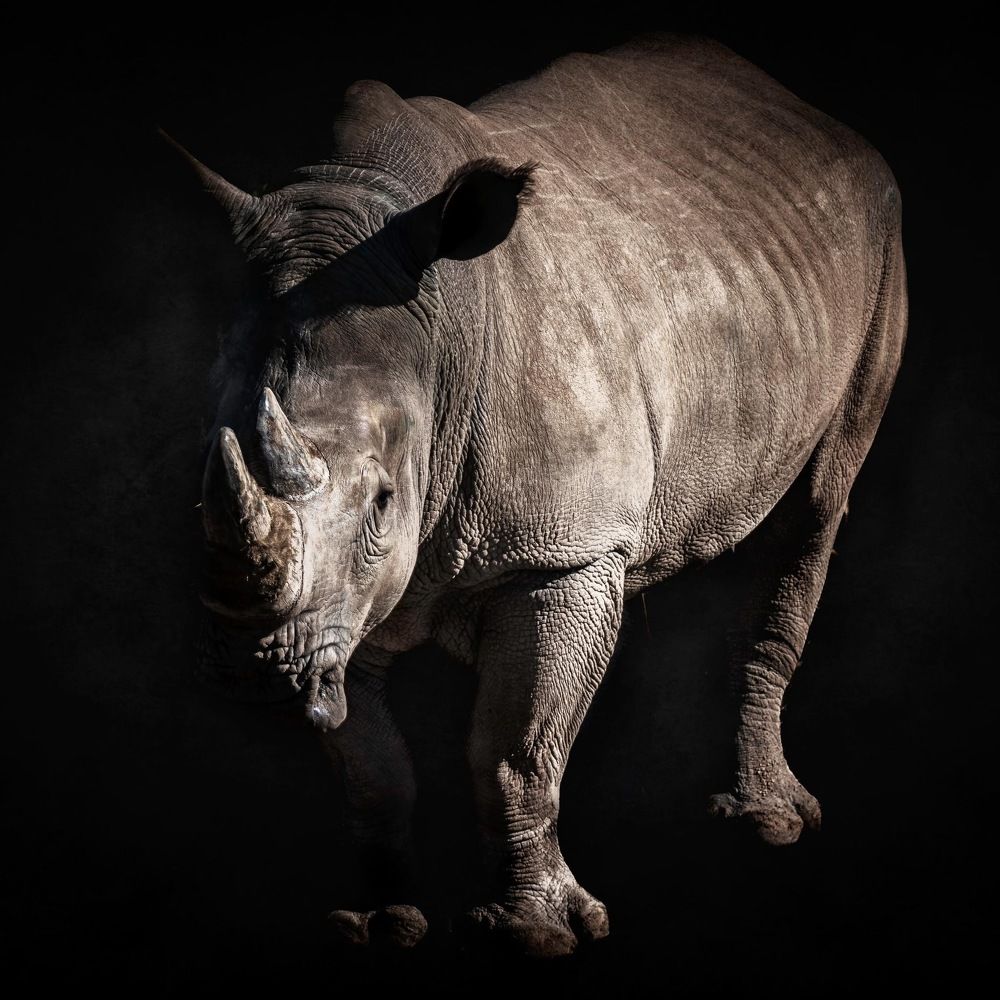 Photograph by Janet Williams