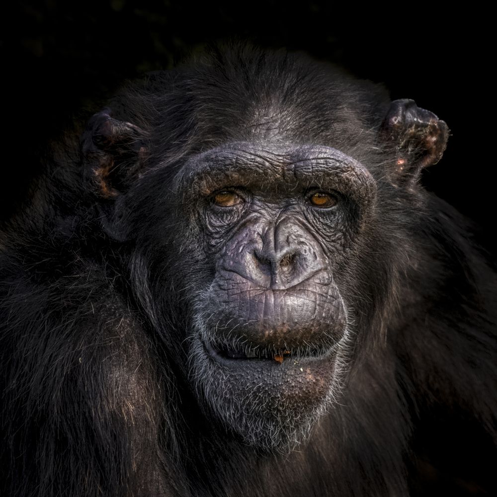 Photograph by Janet Williams