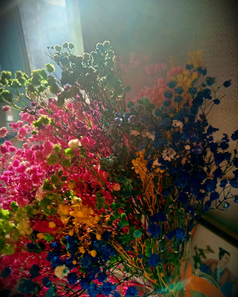 Photograph by Елизавета Загудаева