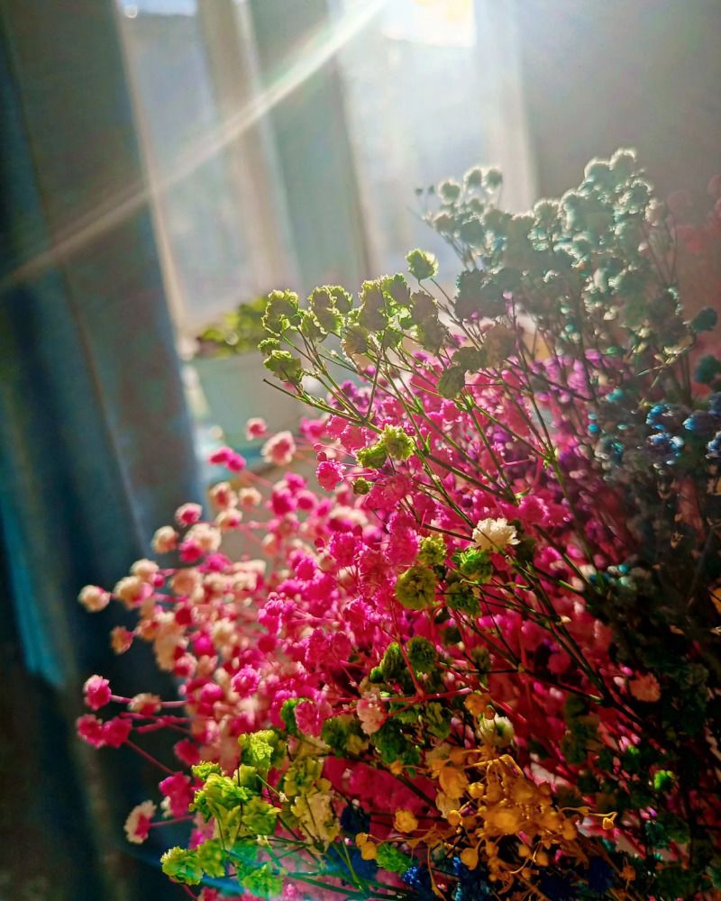 Photograph by Елизавета Загудаева