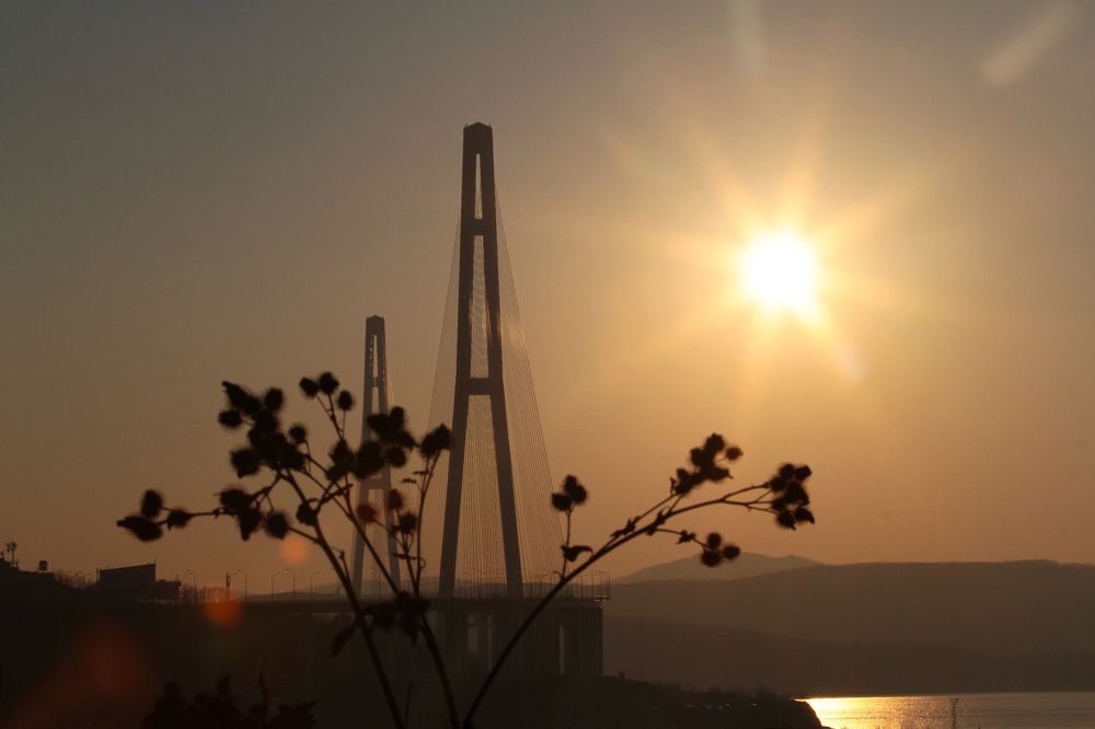 Photograph by Мария Маркина