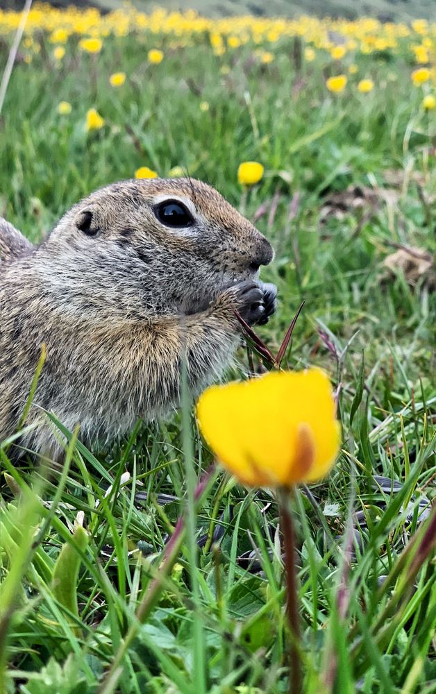Photograph by Мария Алейникова