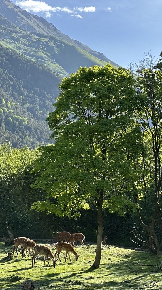 Photograph by Мария Алейникова